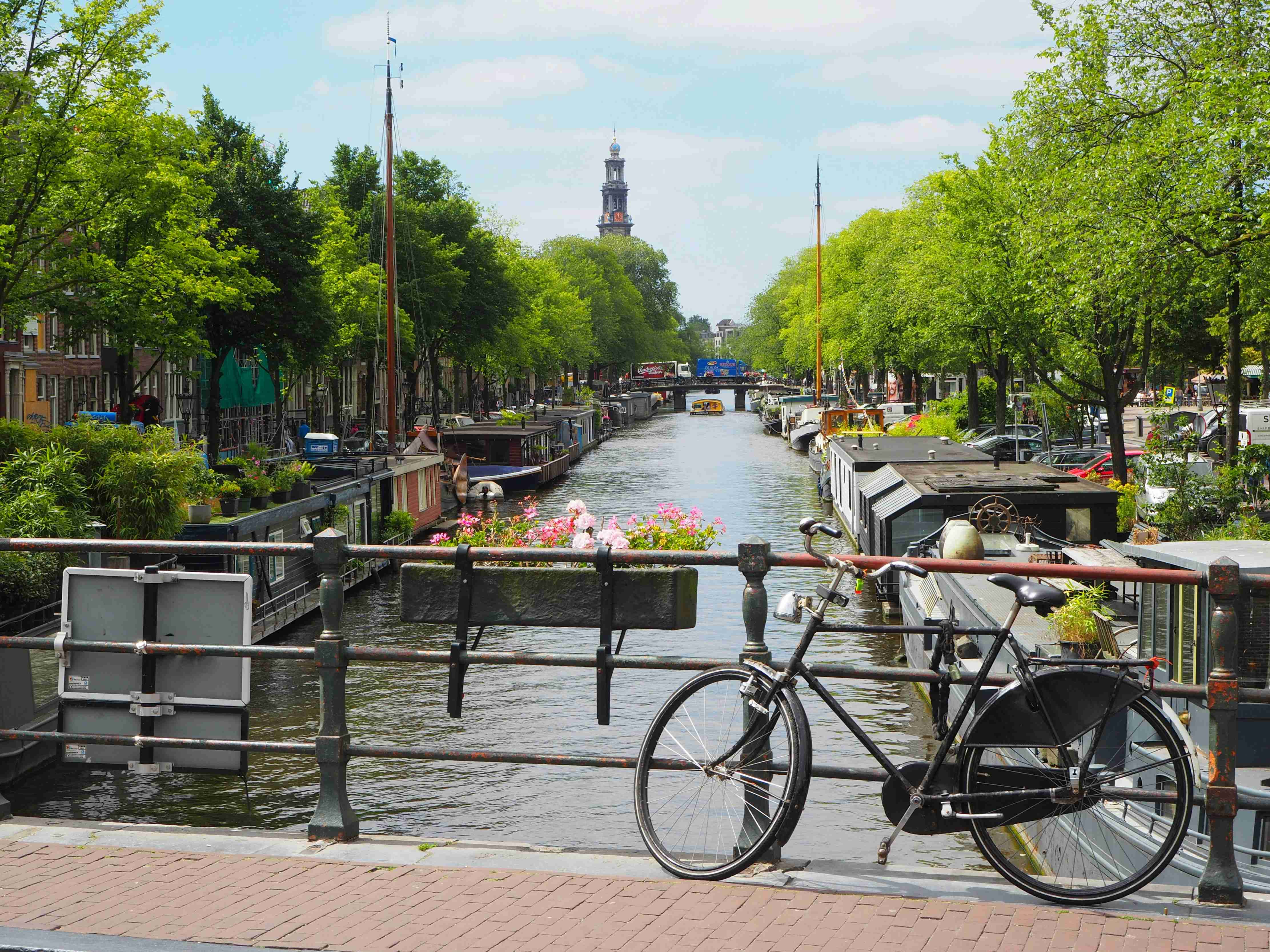 How To Rent A Car In Netherlands