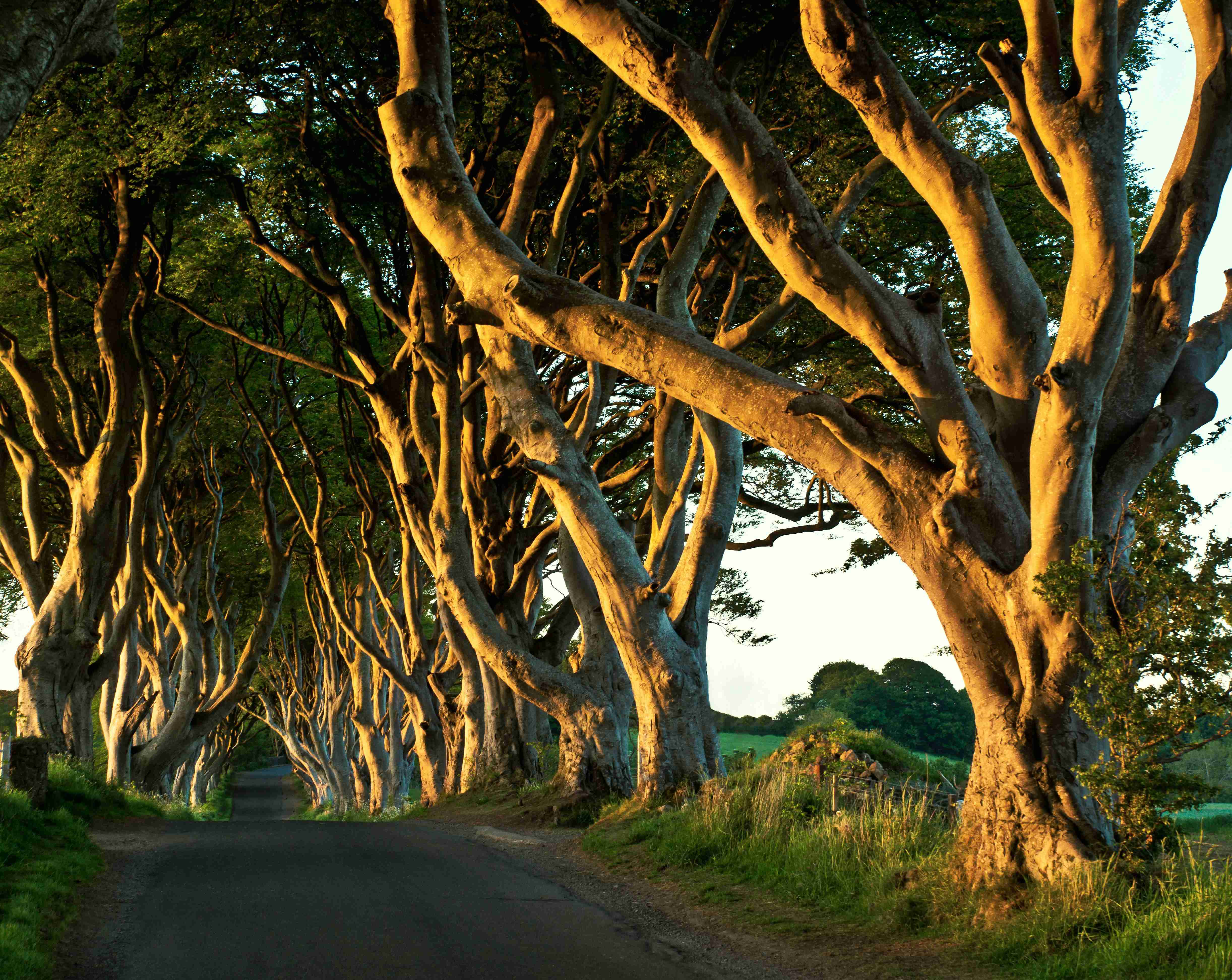 Best Things to Do in Ireland