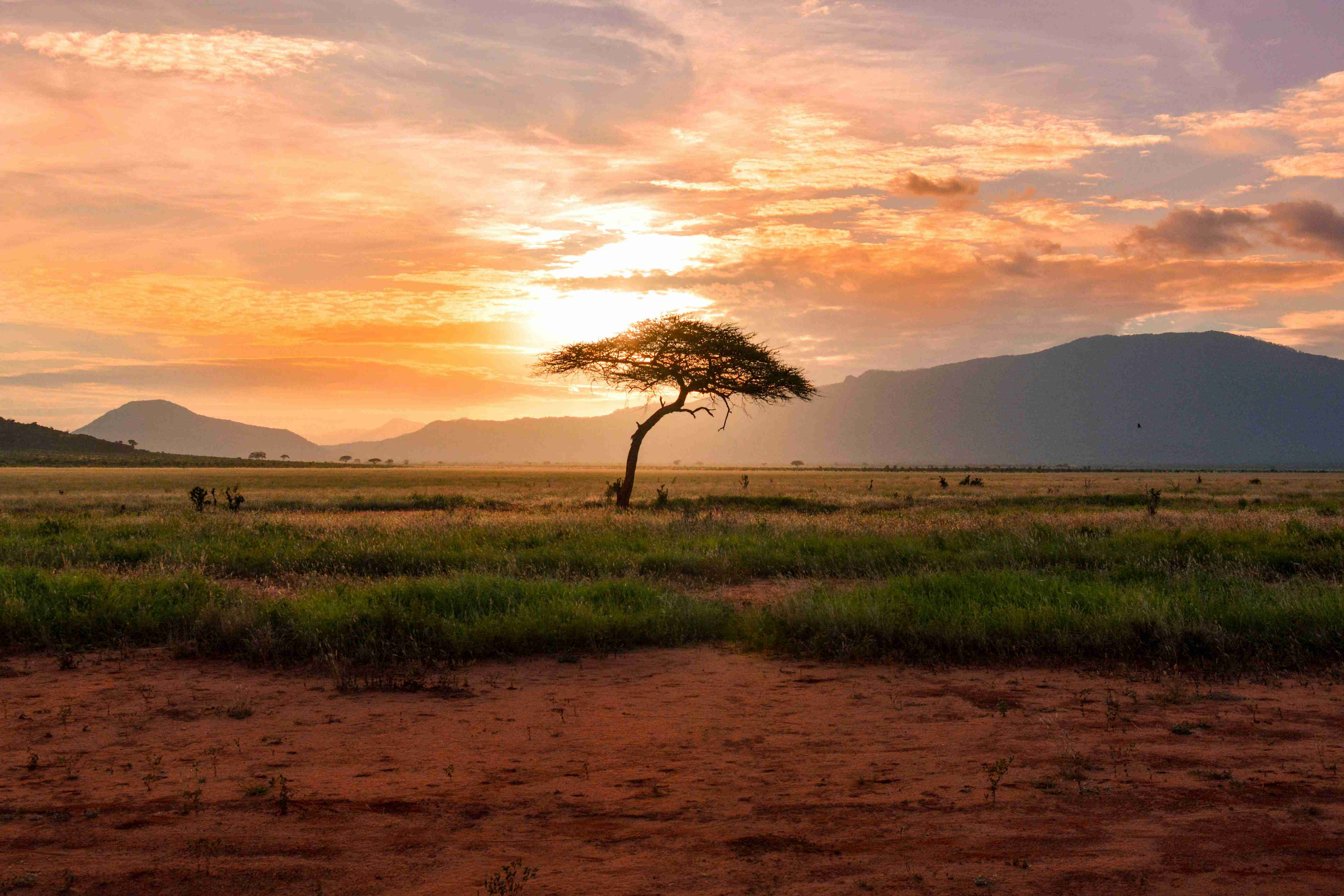 Kenya Taps India’s Growing Demand for Premium Travel Experiences