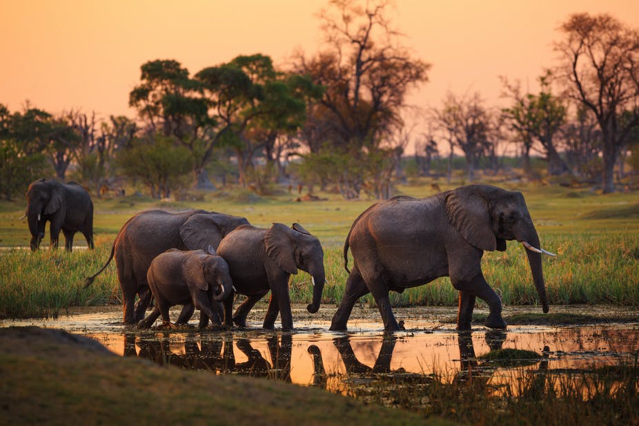 Botswana Driving Guide