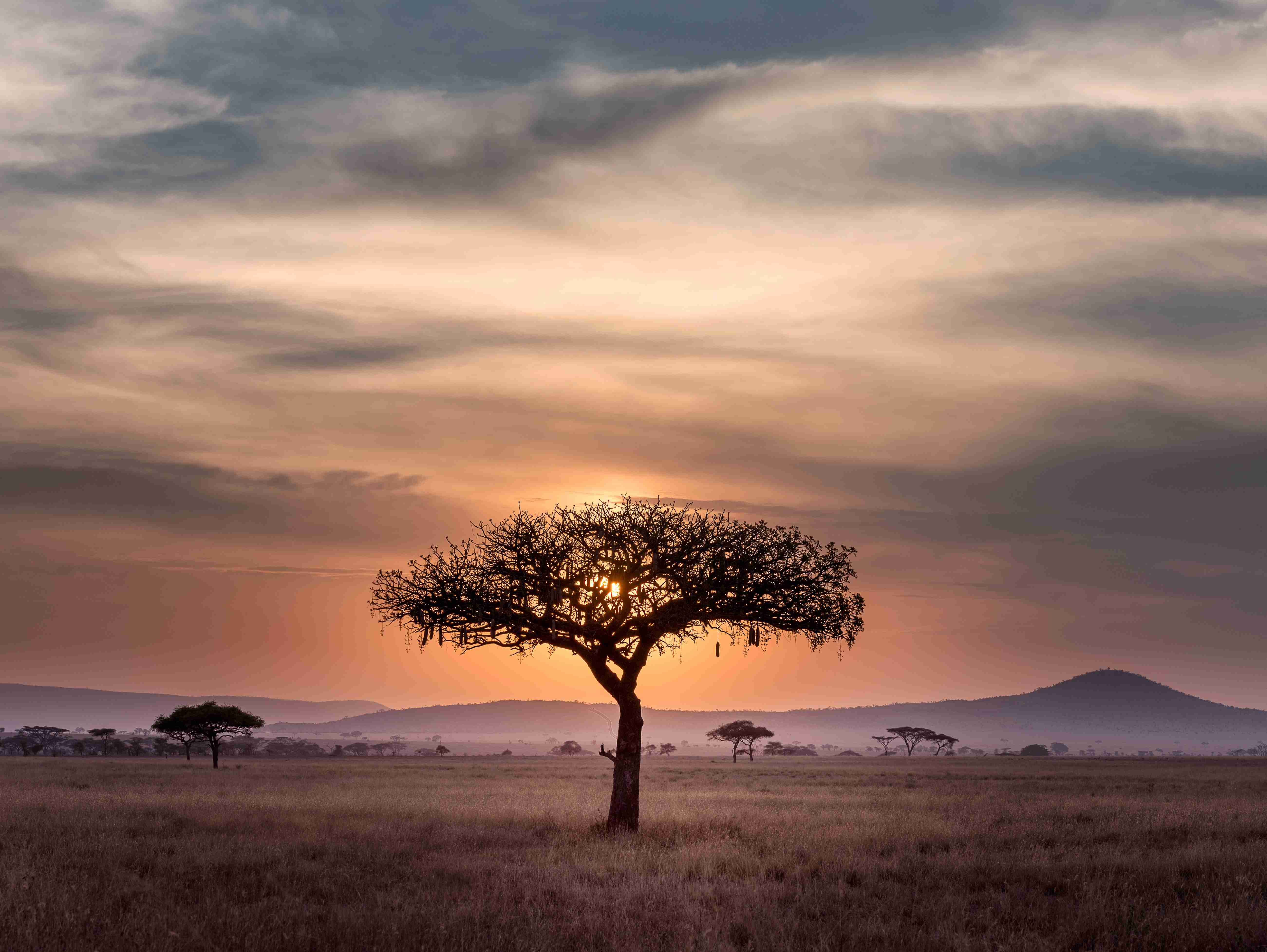 Tanzania Driving Guide