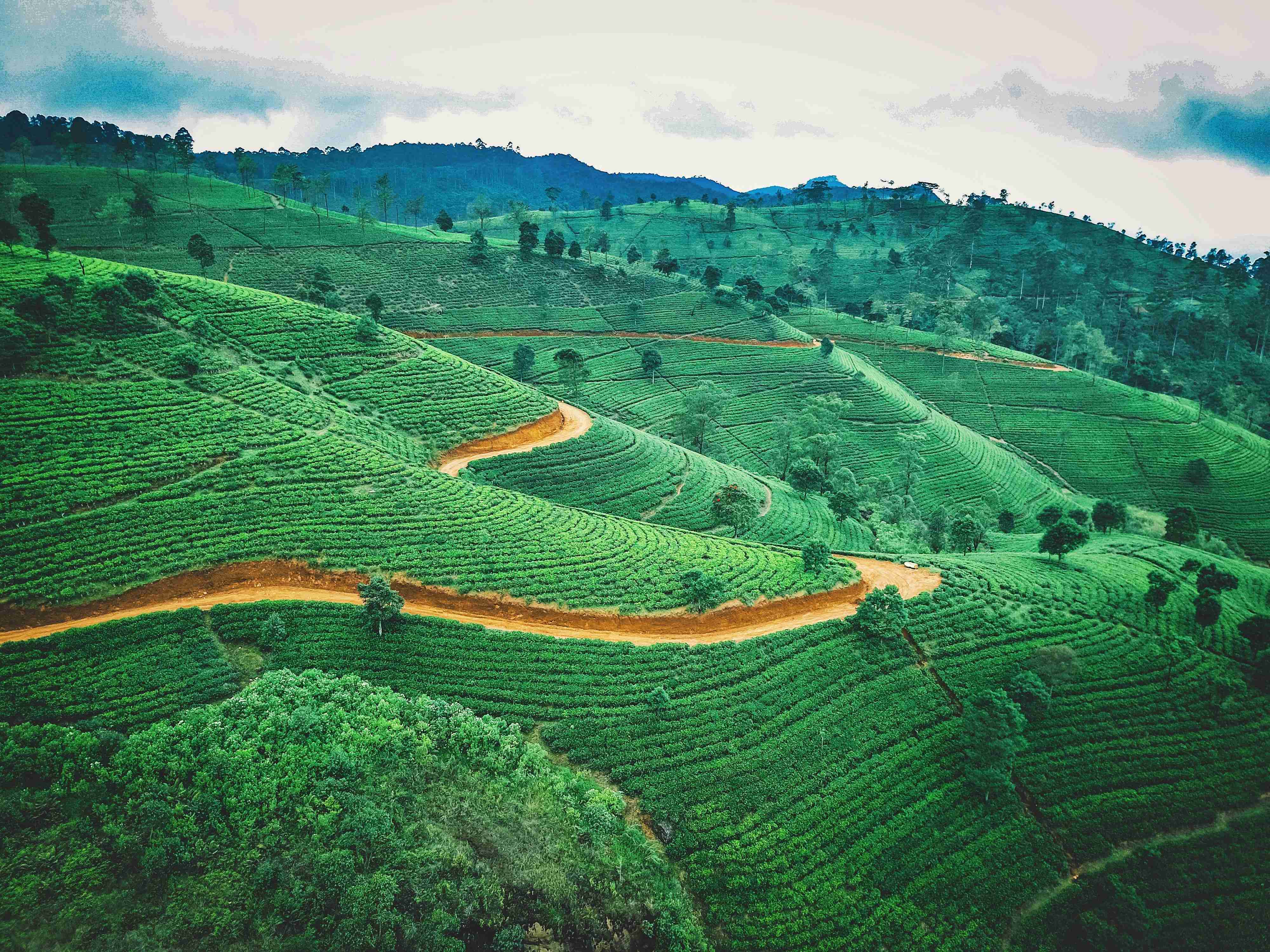 10 Things to Know Before Traveling to Sri Lanka