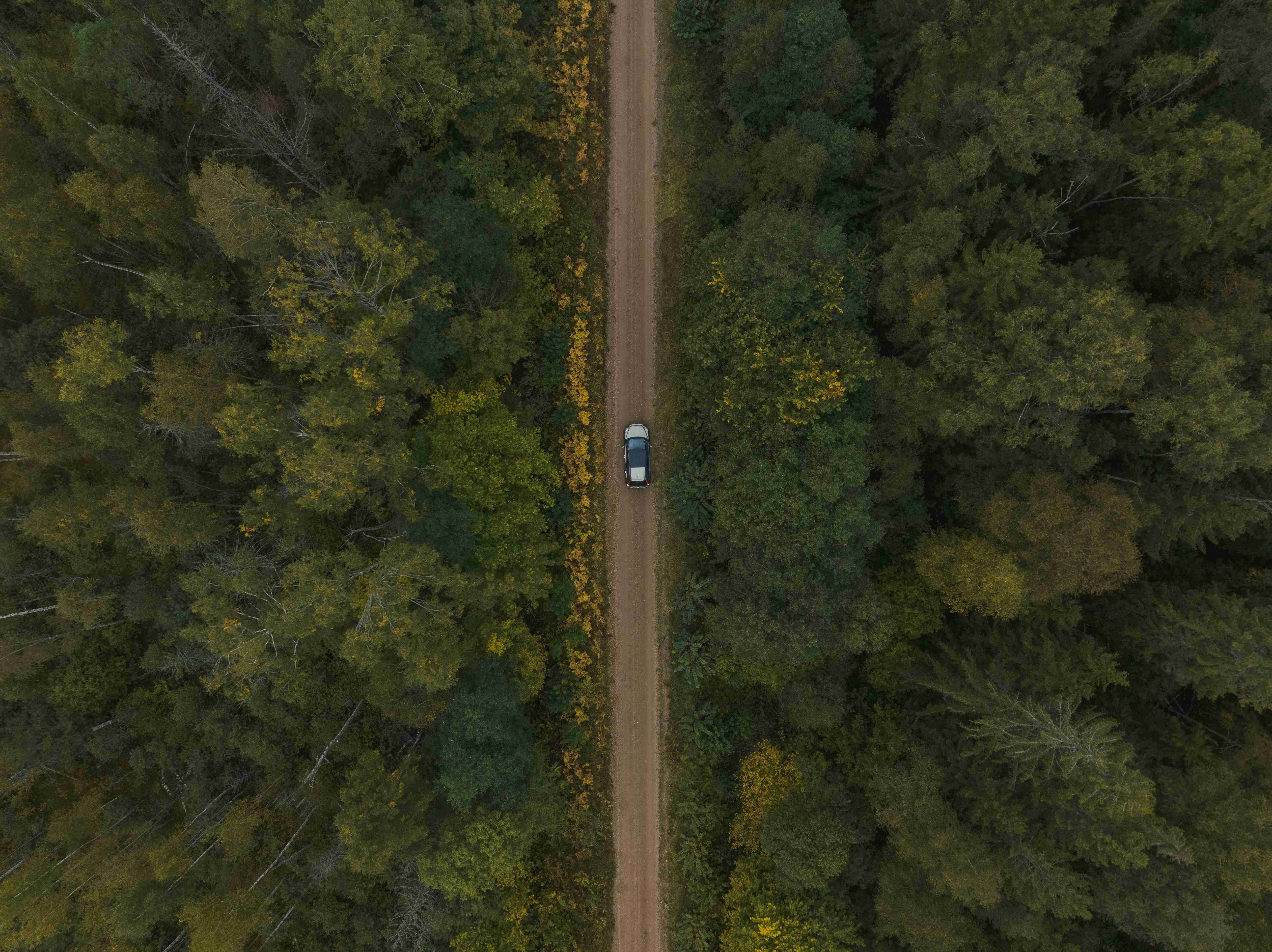 Tips for Driving in Rural Areas