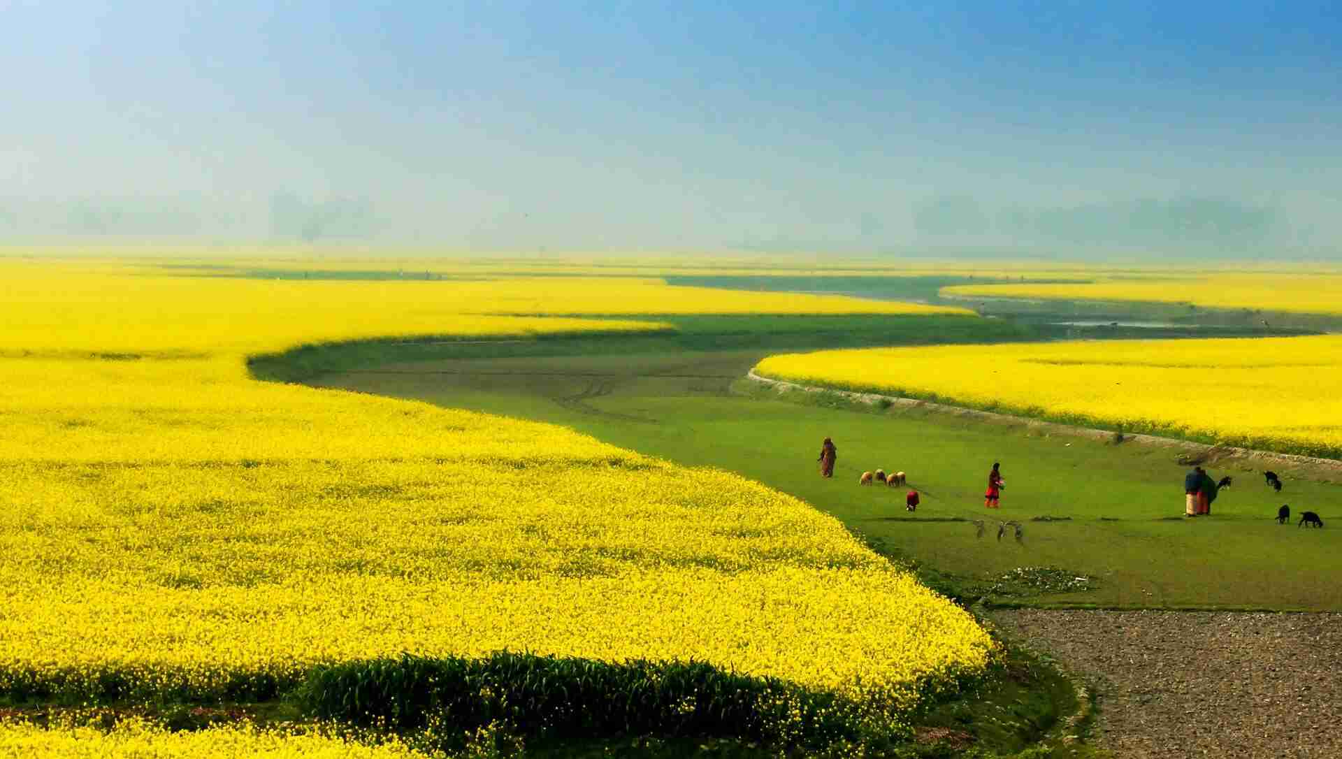 Things to Know Before Traveling to Bangladesh: Essential Guide