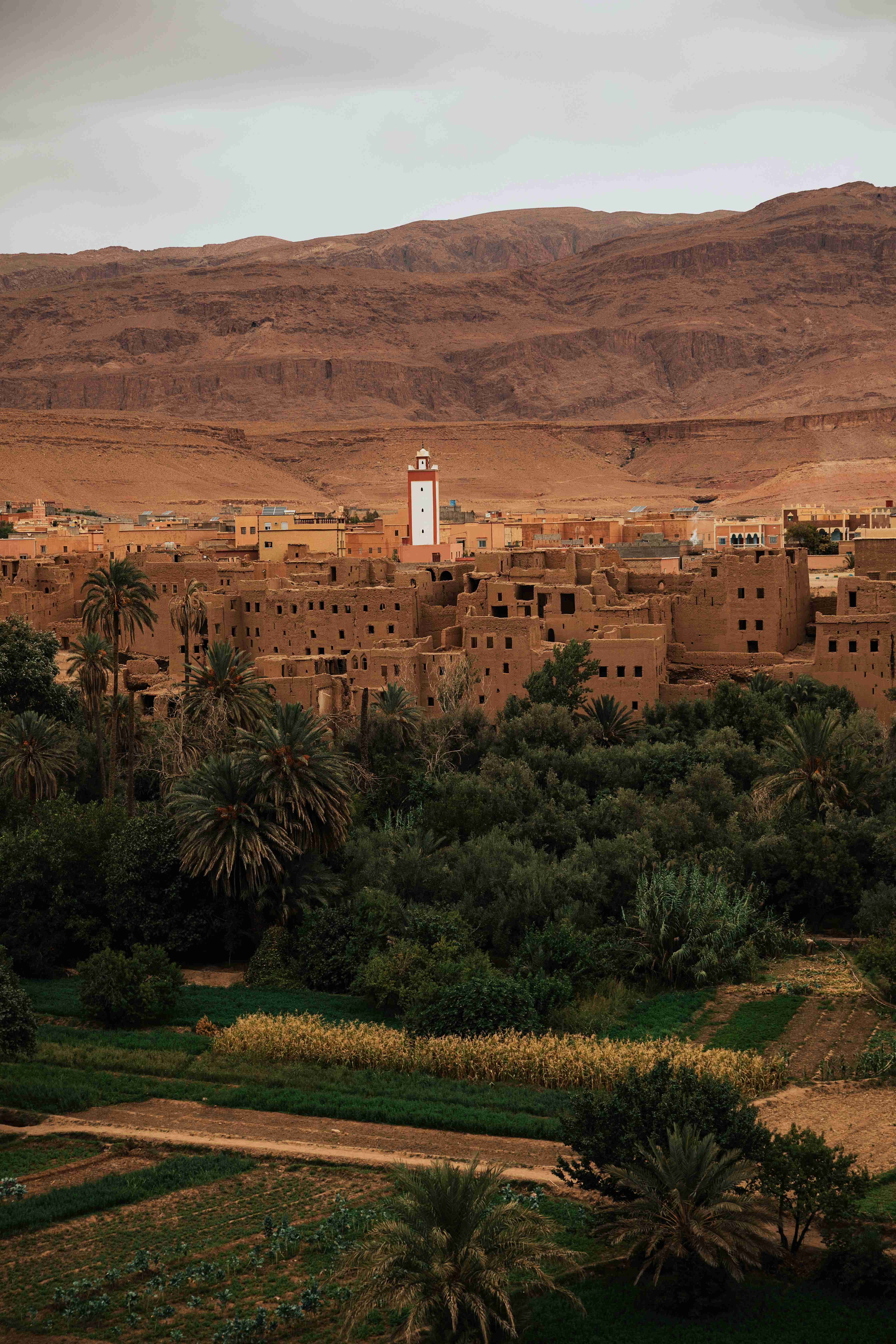 Best Hotels to Check Out in Morocco: The Ultimate Guide