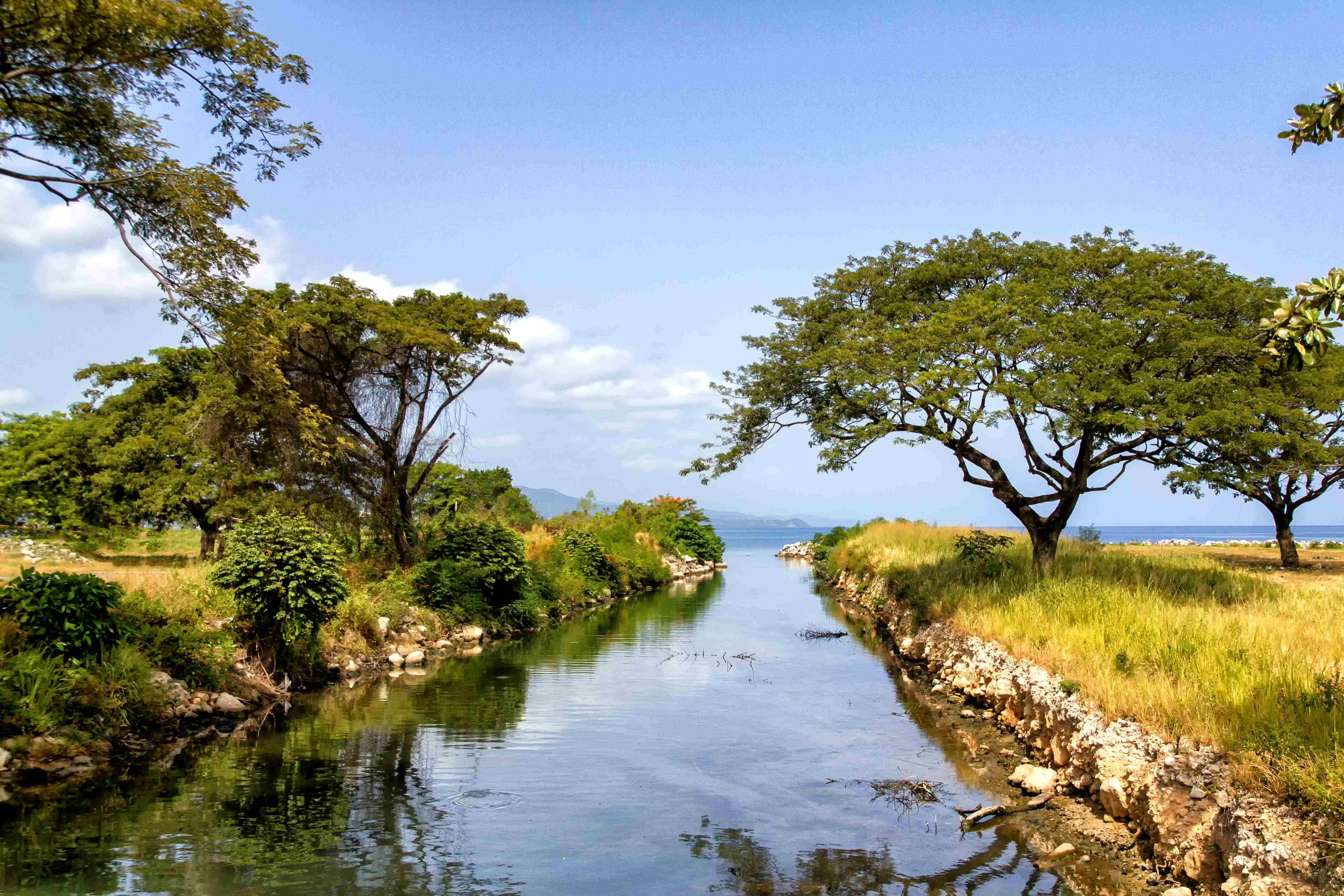 Steps in Securing a Passport in Jamaica: Complete Guide