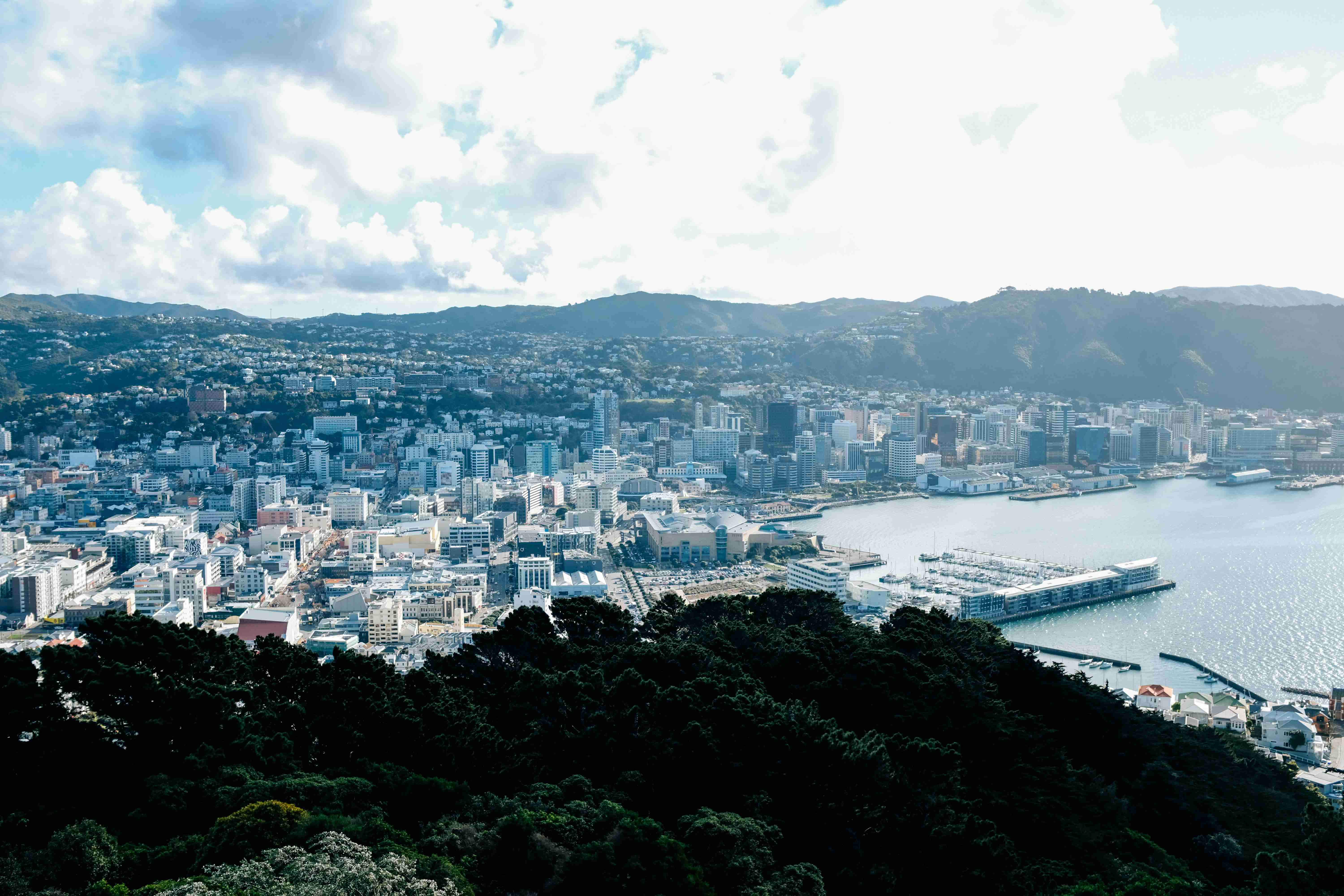 New Zealand Eases Visitor Visa Rules to Attract Digital Nomads